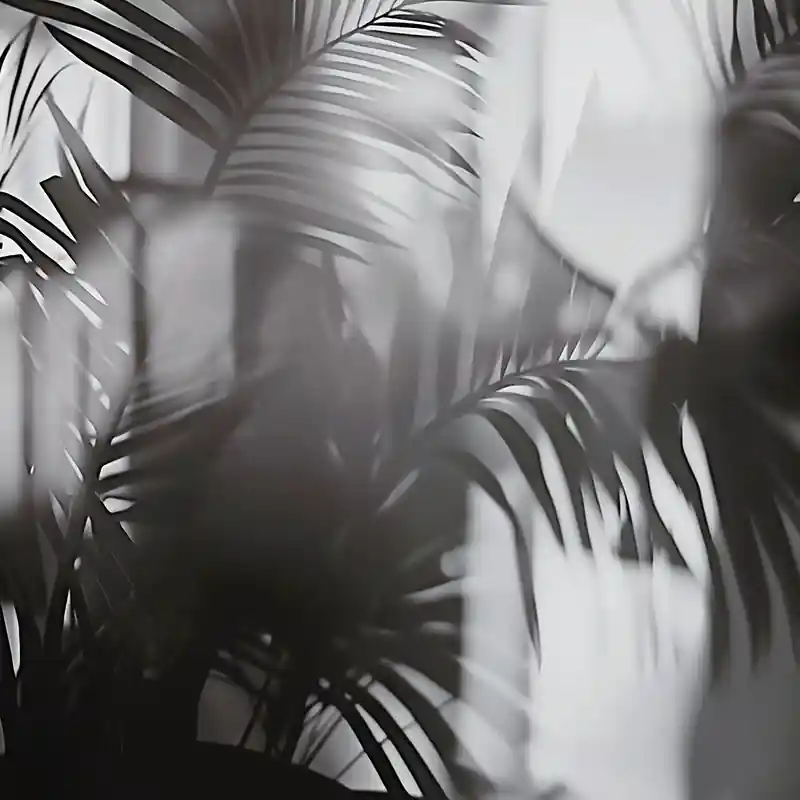 Panoramatapete Linear Palms Londonart Zertifiziert