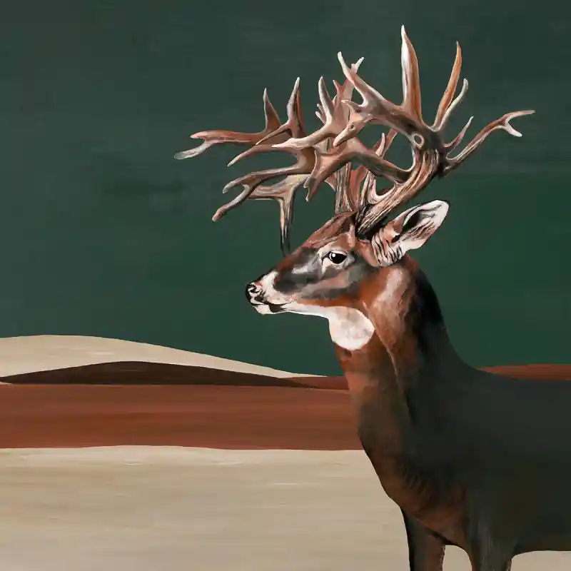 Panoramatapete Great Deer Coordonné Bestseller