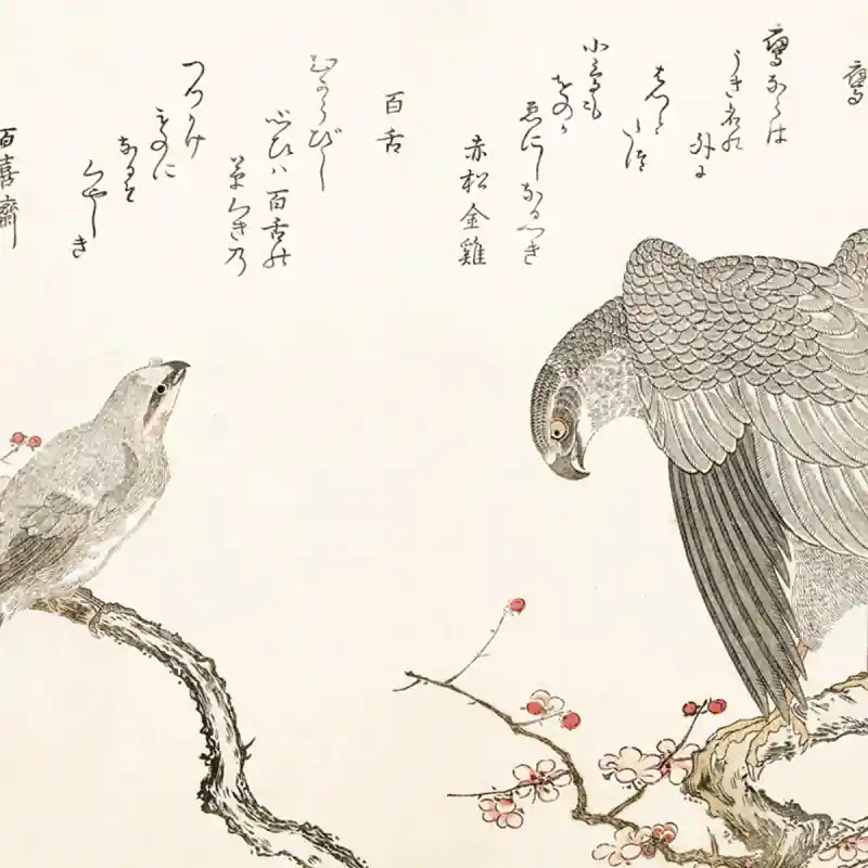 Schneller Versand Panoramatapete Une myriade d‘oiseaux Etoffe.com x Agence Musées Nationaux