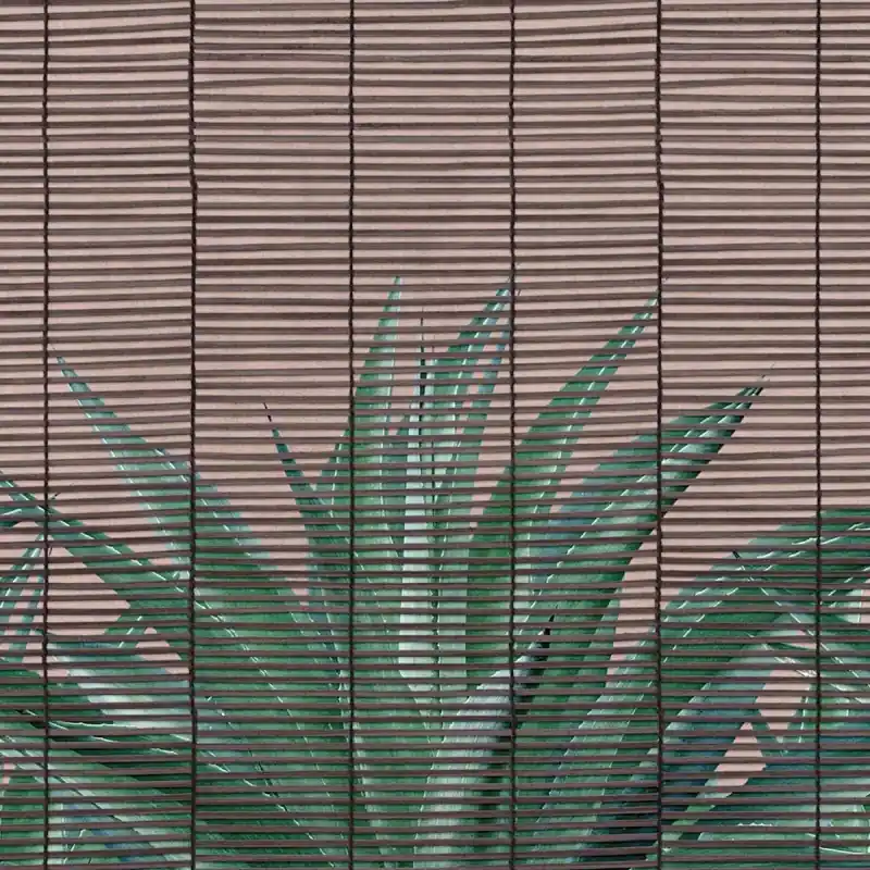 Must-Have Panoramatapete Veranda Londonart