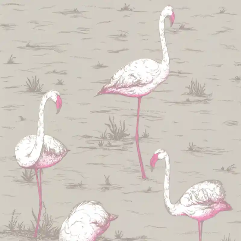 Expressversand Tapete Flamingos Cole and Son