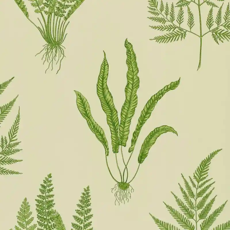 Knallerangebot Tapete Woodland Ferns Sanderson