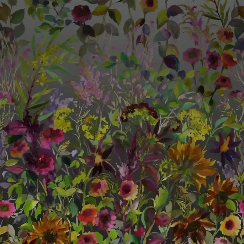 Panoramatapete Indian Sunflower Graphite Designers Guild Saisonangebot