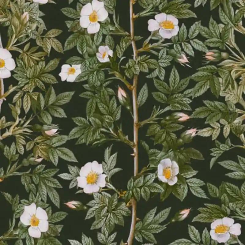 Must-Have Panoramatapete Rose Hip Rebel Walls