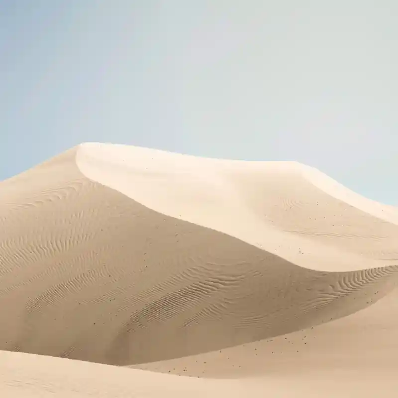 Panoramatapete Dunes Walls by Patel Preisreduziert