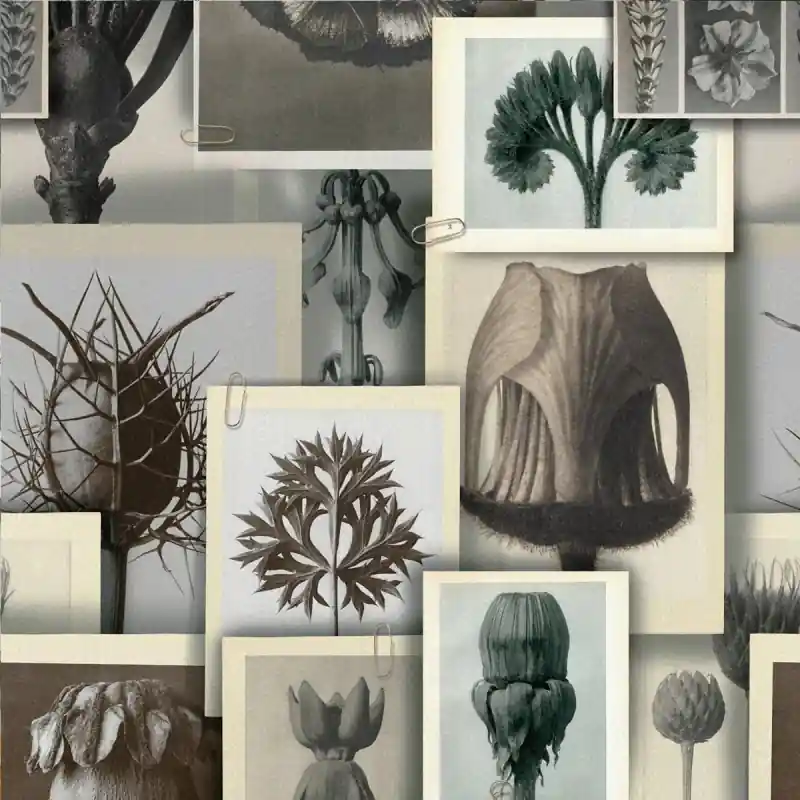 Panoramatapete Blossfeldt‘s Art Forms Mindthegap Mega-Angebot