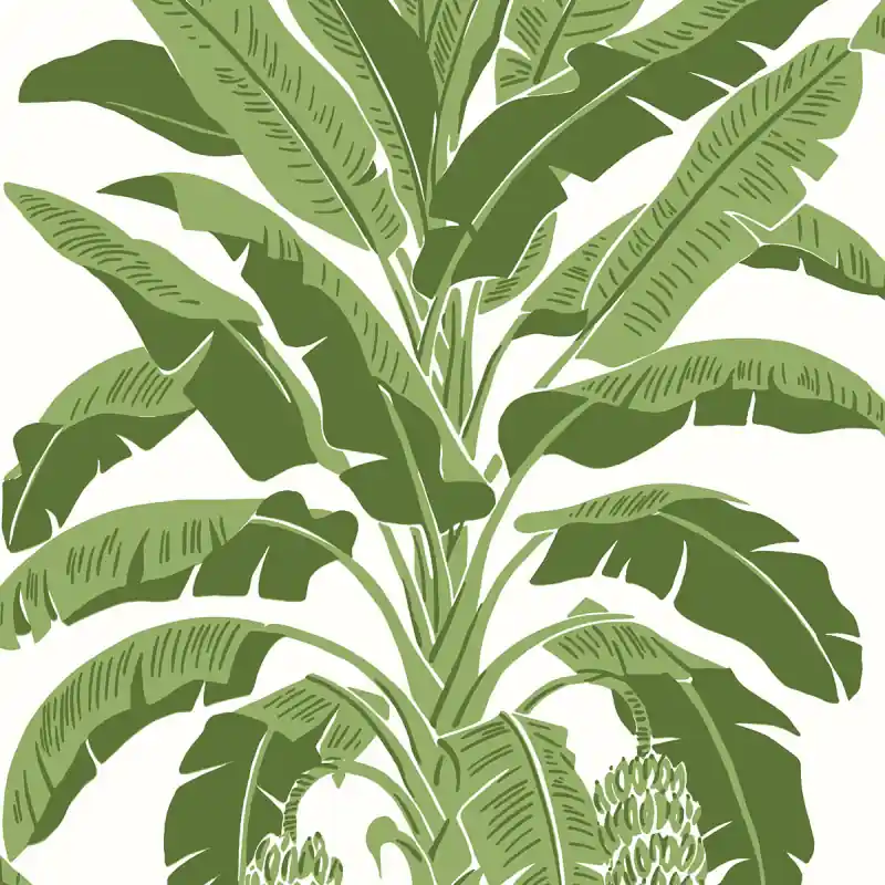 Tapete Banana Tree Thibaut Super-Preis