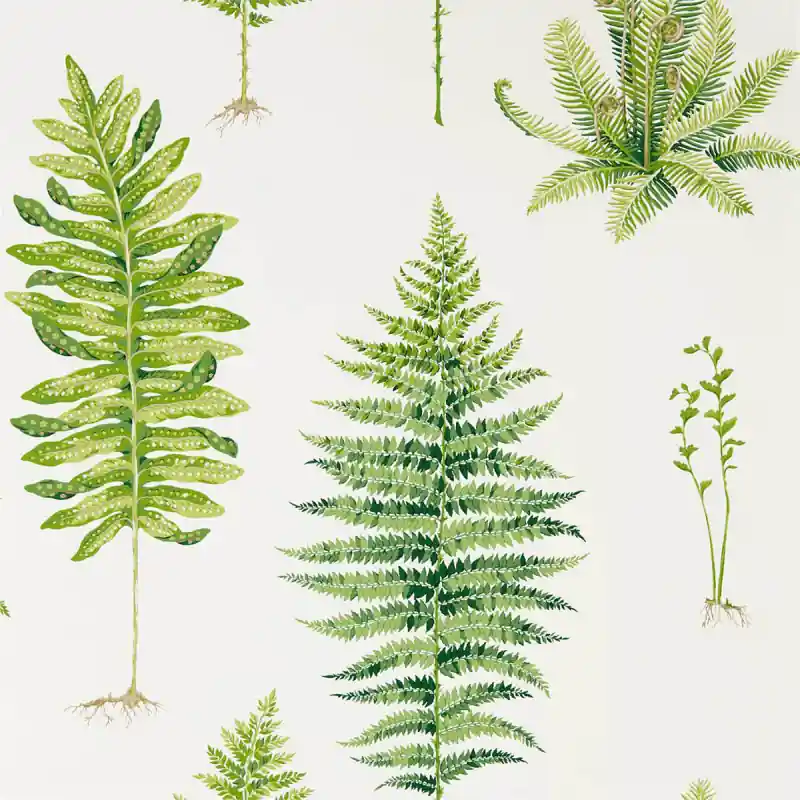Tapete Fernery Sanderson Wochenendangebot