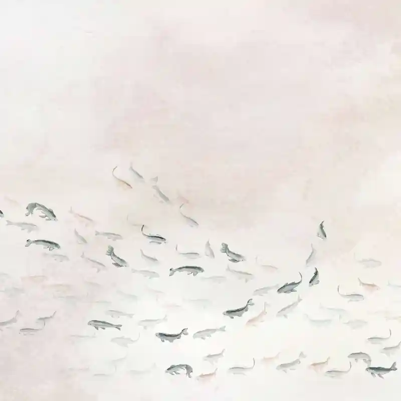 Panoramatapete Koi Silk Coordonné Sonderaktion