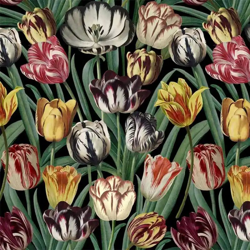 Panoramatapete Tulipa Mindthegap Expressversand