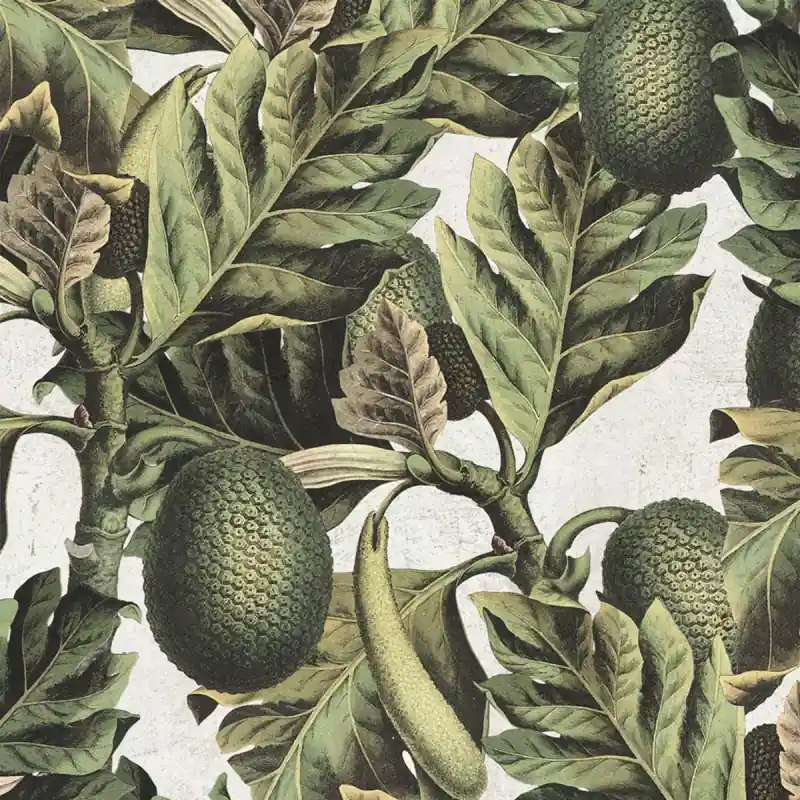 Panoramatapete Exotic Fruit I Mindthegap Sonderangebot