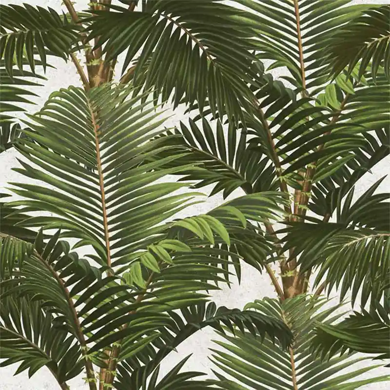 Neue Kollektion Panoramatapete Jardin Tropical Mindthegap