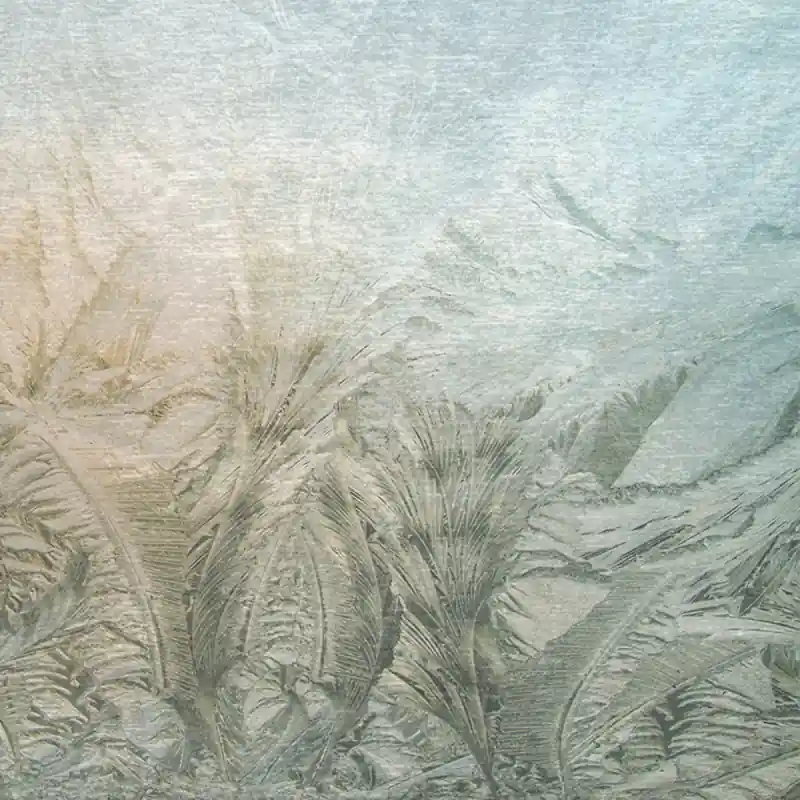 Panoramatapete Givre Stella Cadente Jetzt Bestellen
