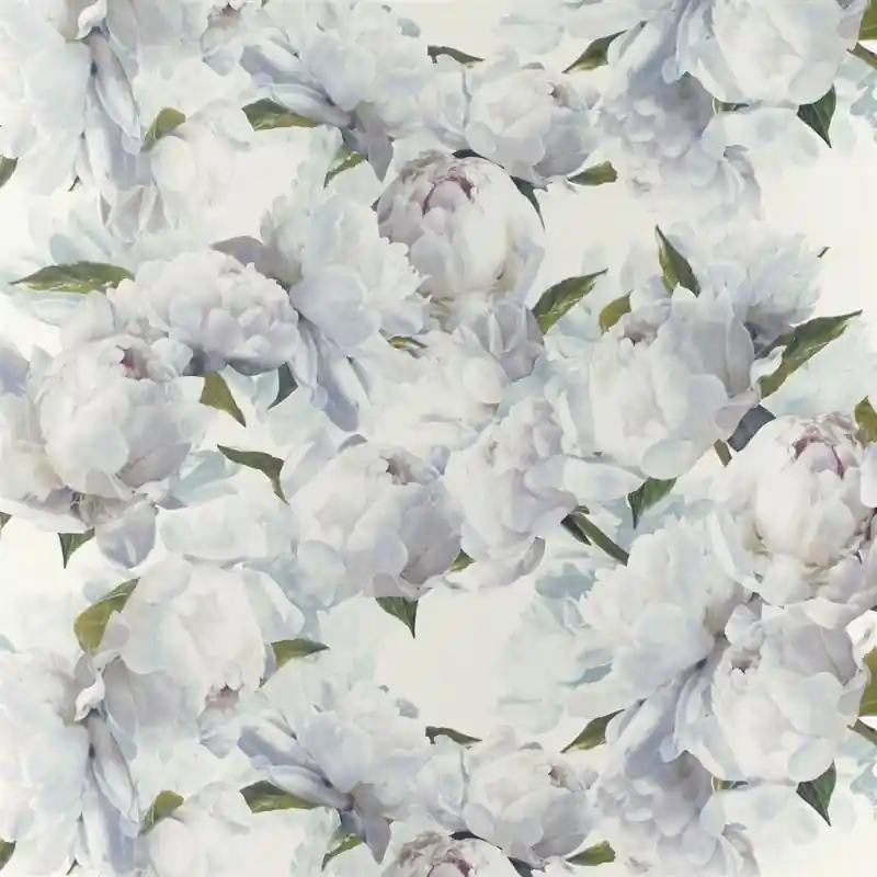 Tapete Peonia Zinc Designers Guild Saisonangebot