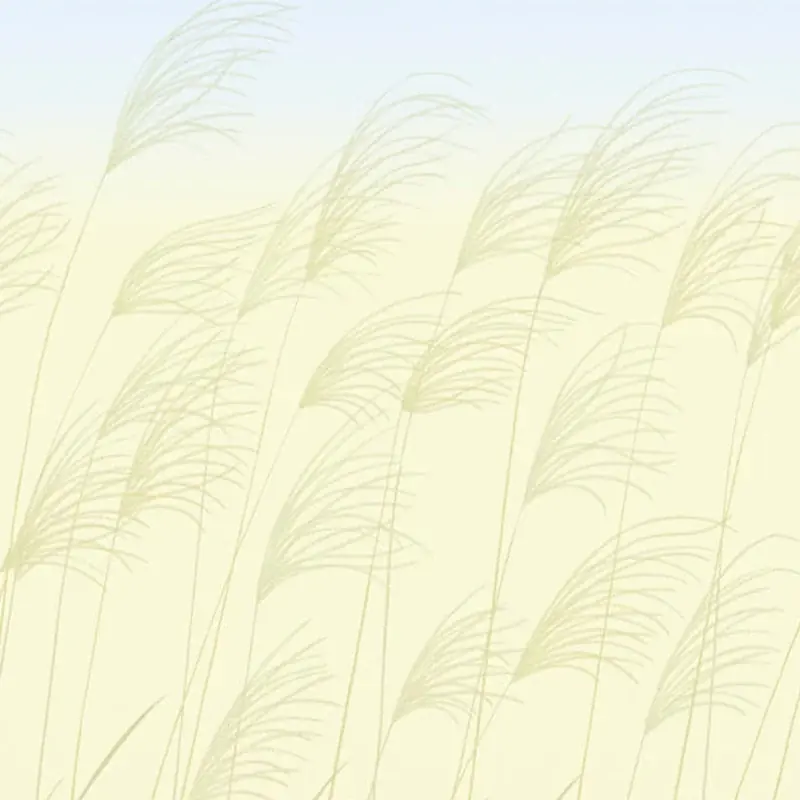 Panorama-Tapete Miscanthus Harlequin Günstig