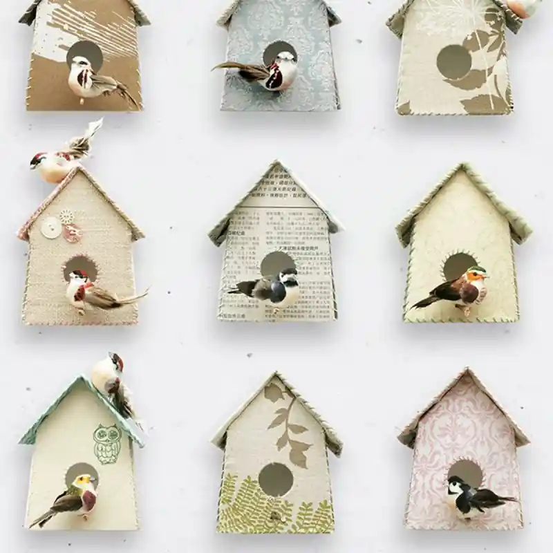 Kracherpreis Tapete Birdhouse Studio Ditte