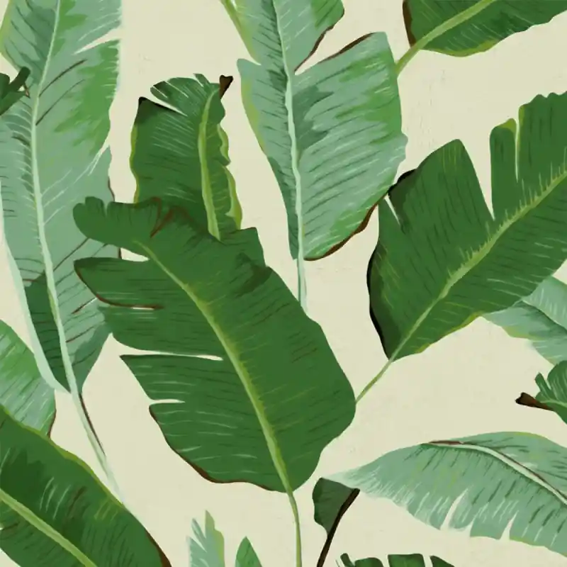 Neu Im Sortiment Panoramatapete Banana Leaves Mindthegap