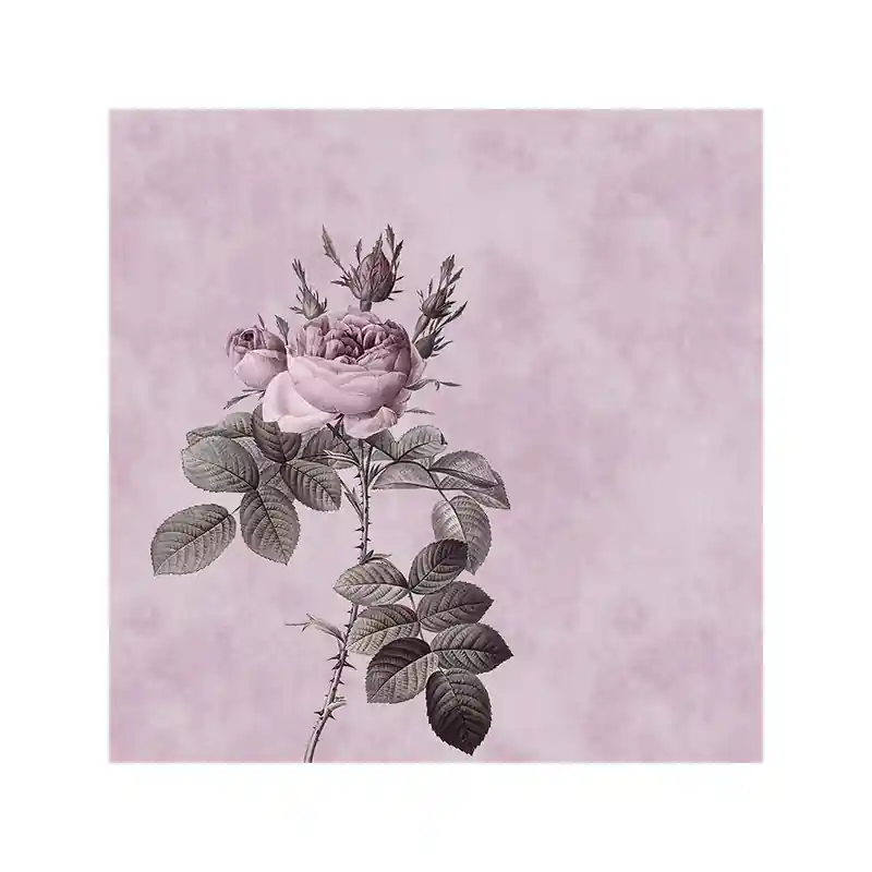 Panoramatapete Rose Walls by Patel Bestseller
