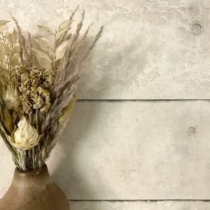 Ausverkauf Bareet Beige