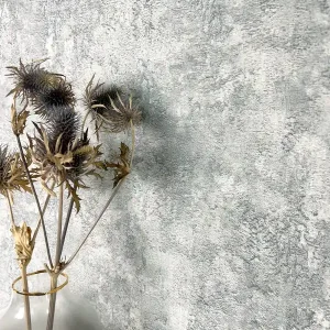Billig Hardy Silver