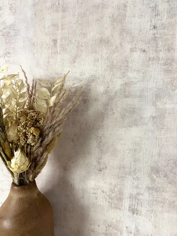 Mogli Beige Aktuell