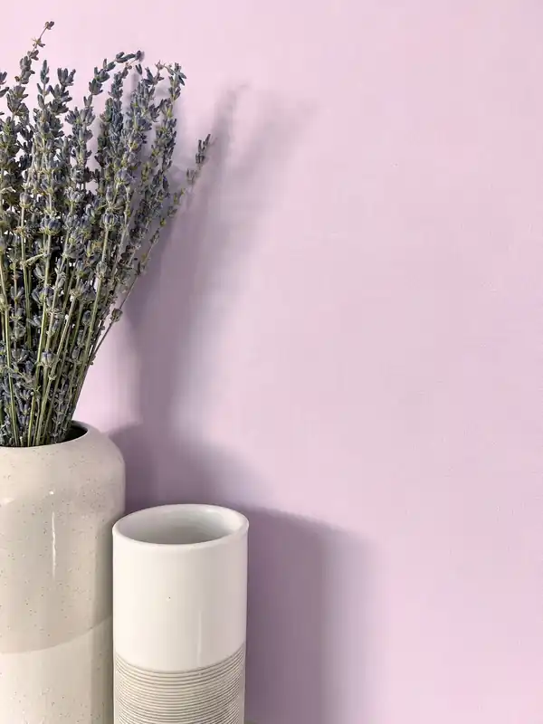 Paraiso Uni Violett Top-Preis