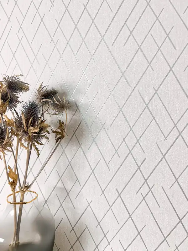 Saira Silver Neue Kollektion
