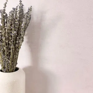 Co. 10 Dusty Lilac Direkt Vom Hersteller