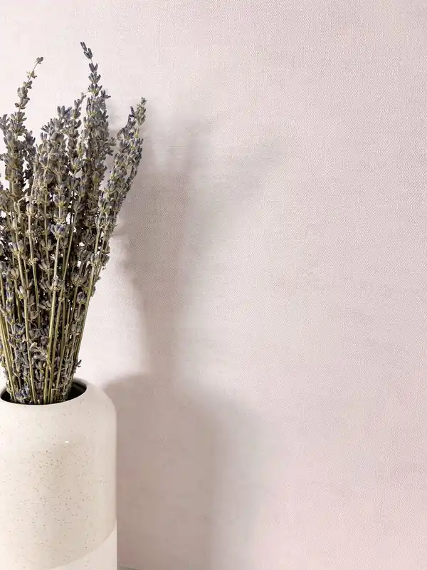 Co. 10 Dusty Lilac Direkt Vom Hersteller