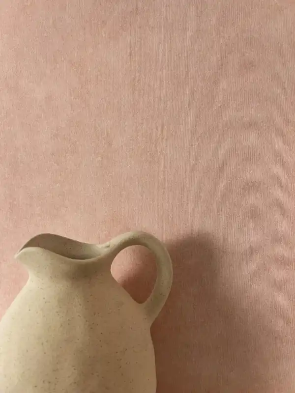 Top-Preis Zeno Rosa