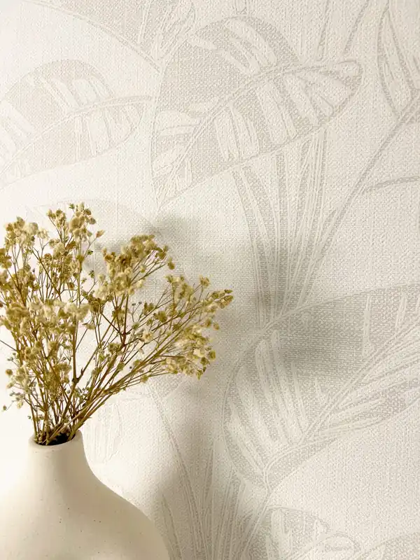 Bivona Creme Sonderangebot