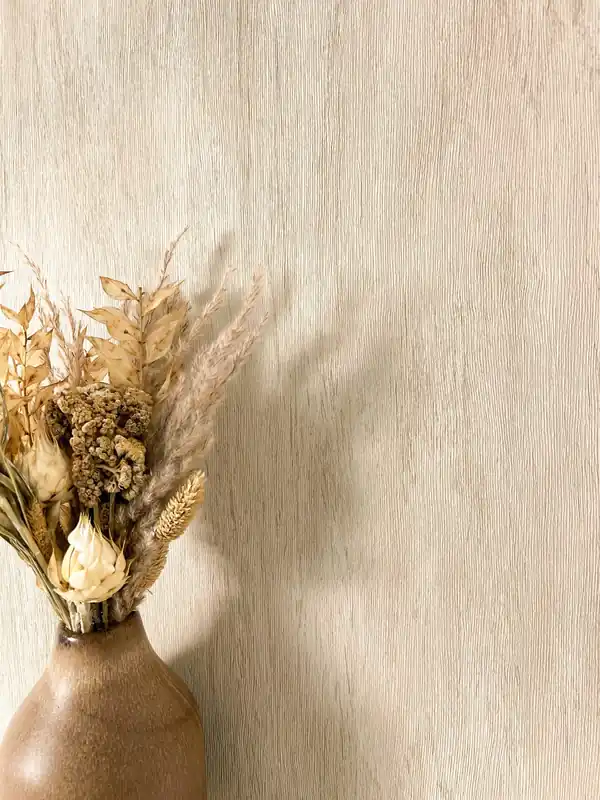 Asker Beige Sonderangebot