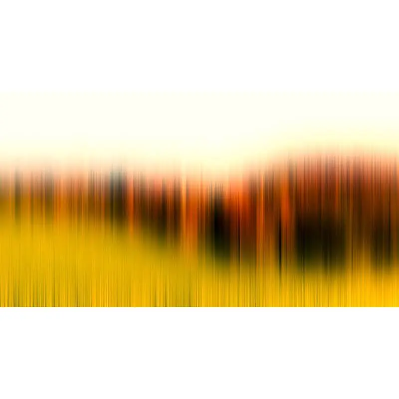 Digitaldruck-Tapete Diffused Tree Row 2 Architects Paper (1031855) Ausverkauf