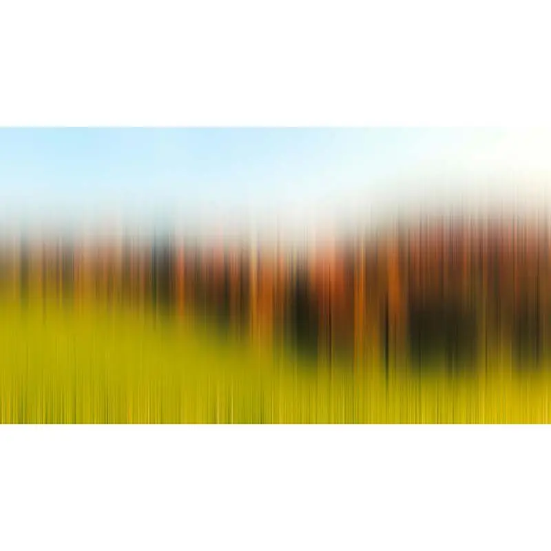 Digitaldruck-Tapete Diffused Tree Row 1 Architects Paper (1031854) Sonderangebot