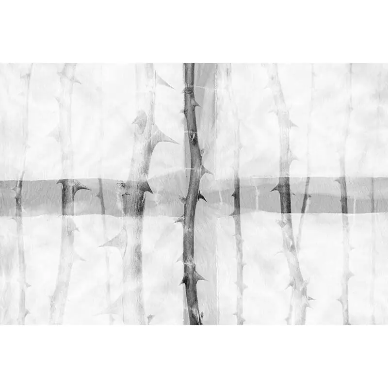 Digitaldruck-Tapete Thorn Art 3 Architects Paper (1031743) Markenprodukt