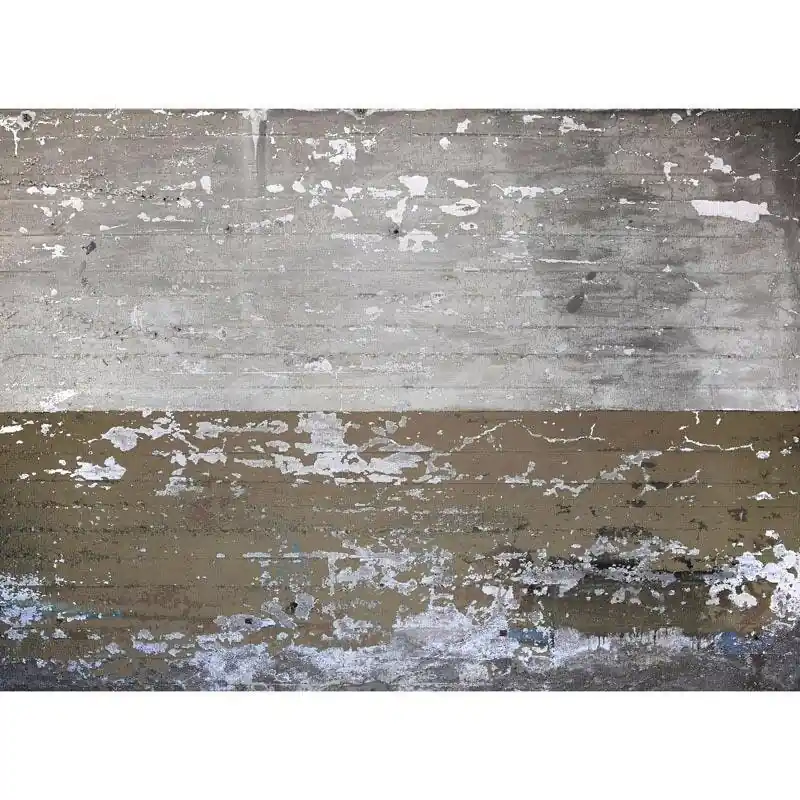 Digitaldruck-Tapete Concrete Coated livingwalls (1032004) Direktkauf
