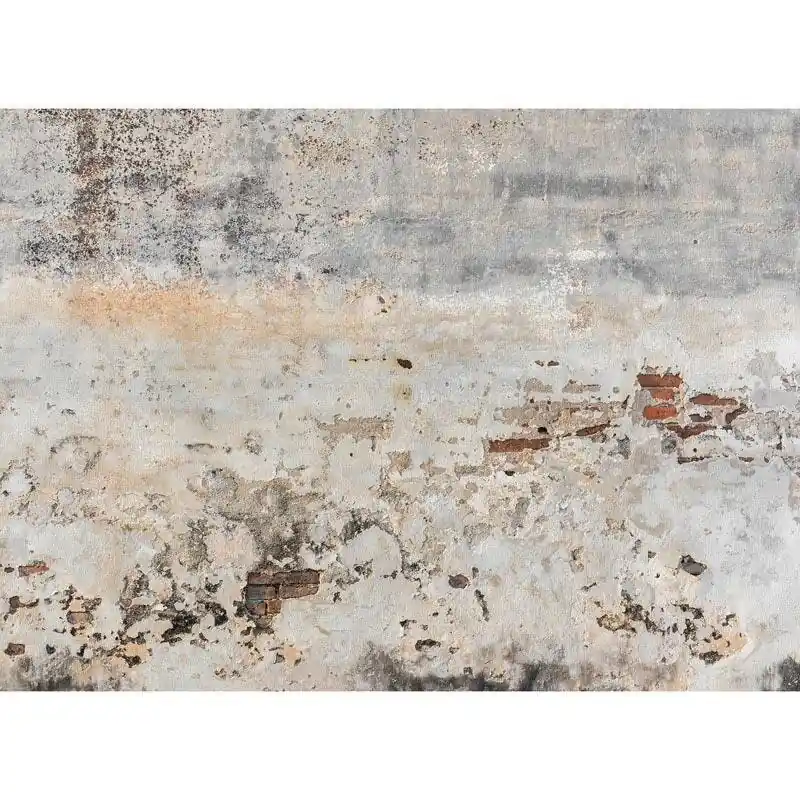 Angebot Digitaldruck-Tapete Old Wall livingwalls (1031989)