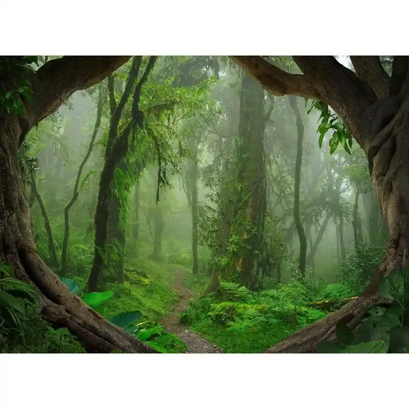 Digitaldruck-Tapete Tropical Forest livingwalls (1031923) Kracherpreis