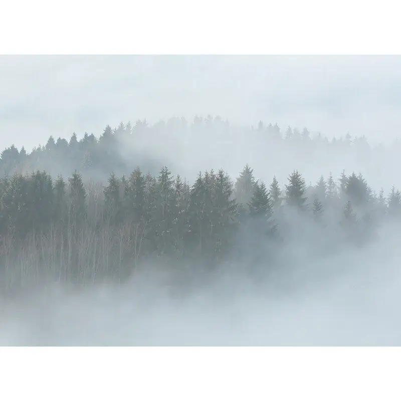 Digitaldruck-Tapete Misty Forest livingwalls (1031909) Ausverkauf