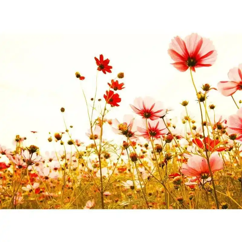 Digitaldruck-Tapete Flower Meadow 2 livingwalls (1031907) Super-Preis