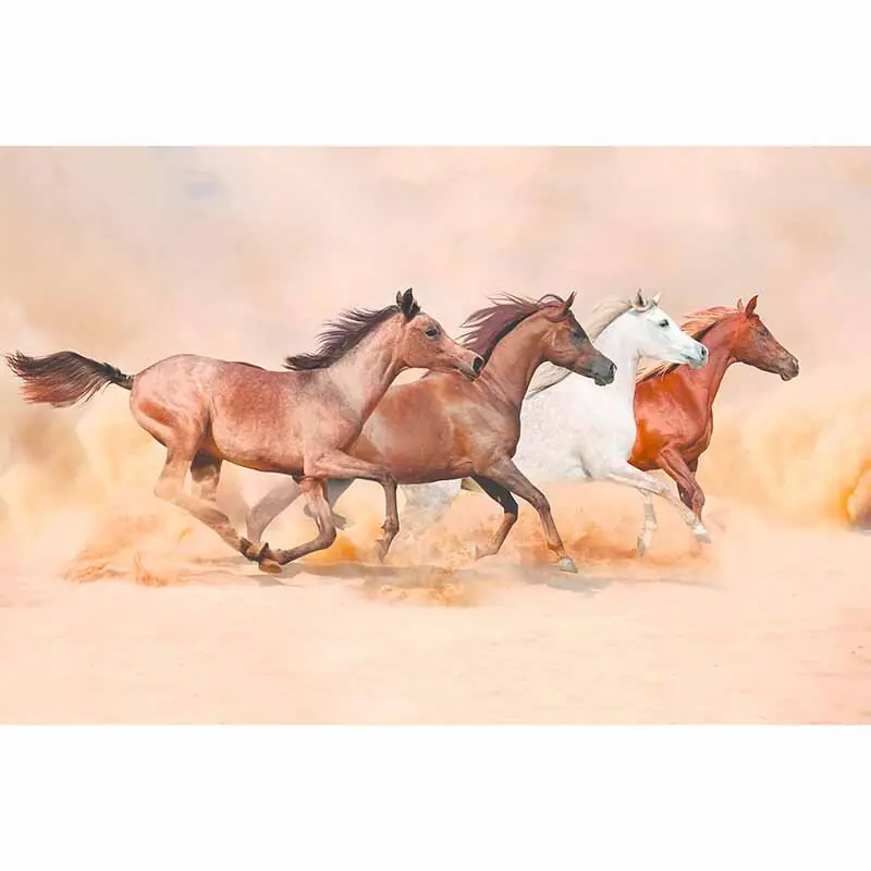 Direkt Vom Hersteller Digitaldruck-Tapete HerdGallops livingwalls (1034252)
