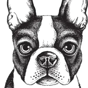 Vorgeklebte Vliestapete, Bulldogge Dekoration, PLC017, Platinum Shapes, Decoprint Abverkauf