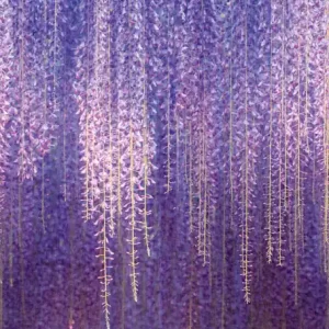 Direktkauf Florale Fototapete, ML6501, Mural Young Edition, Grandeco