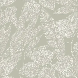 Markenprodukt Graue Vliestapete mit Blättern, A69501, Omura, Grandeco