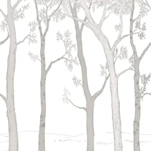 Fototapete, Wald, Bäume, ML1701, Mural Young Edition, Grandeco Nur Für Kurze Zeit