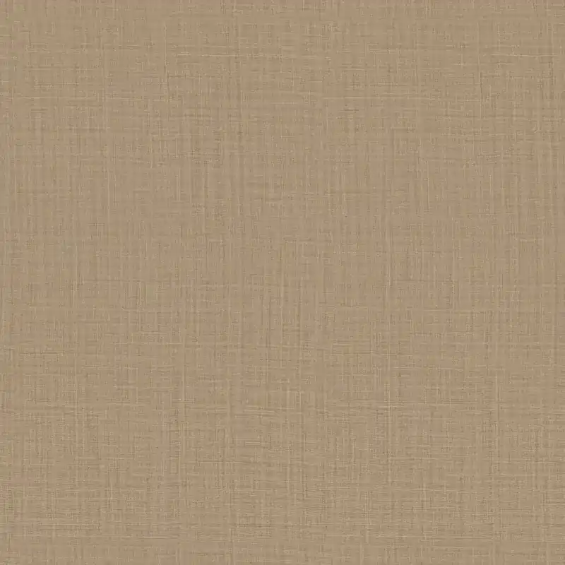 Beige, einfarbige Tapete Z80047 Philipp Plein, Zambaiti Parati Direktkauf