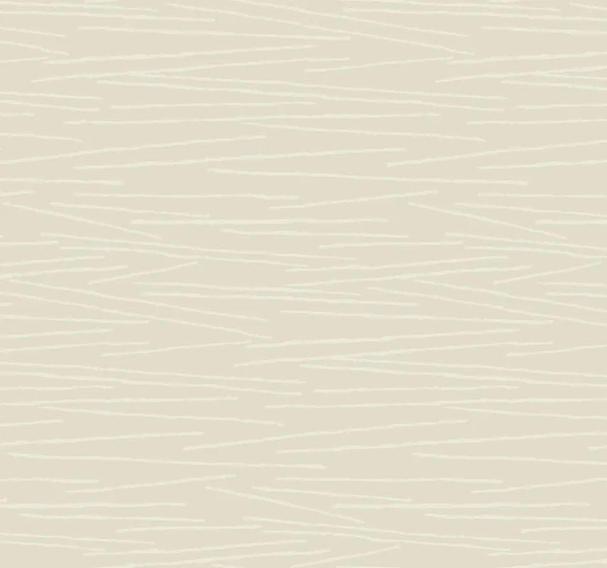 Super-Preis Beige Vliestapete, geprägte Linien, EV3932, Candice Olson Casual Elegance, York