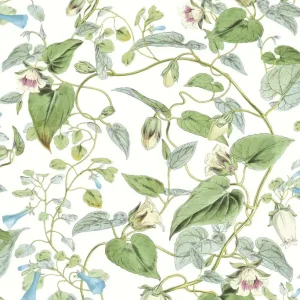 Aktuell Florale Vliestapete, BL1711, Blooms Second Edition Resource Library, York