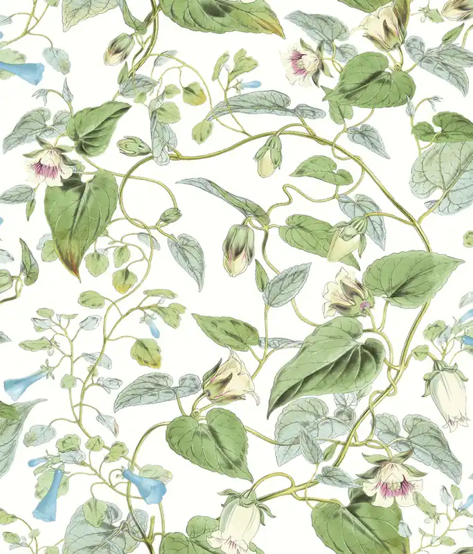 Aktuell Florale Vliestapete, BL1711, Blooms Second Edition Resource Library, York
