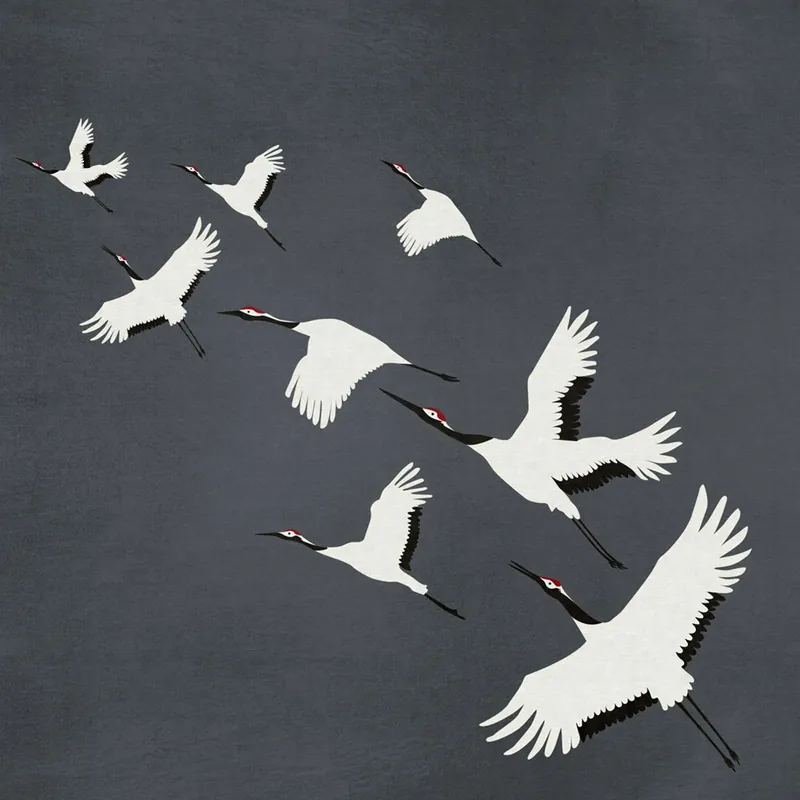 Graue Fototapete Vögel im Flug, Vliestapete wandbilder 357235, 300 x 300 cm, Natural Fabrics, Origin Top-Preis